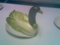 veg02