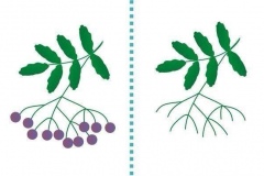 11693959_454344788068828_7954542024474730655_n