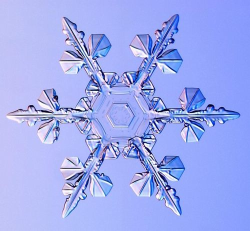 snowflake06