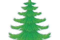 31