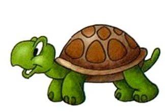 Ինչպե՞ս նկարել կրիա