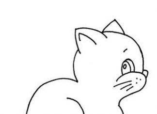 Ինչպե՞ս նկարել փիսիկ