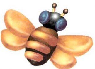 Պլաստիլինե մեղու, մրջյուն, ծղրիդ