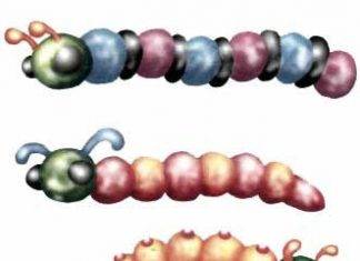 Թրթուրներ ու խխունջներ պլաստիլինից