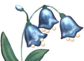 Պլաստիլինե զանգակածաղիկներ