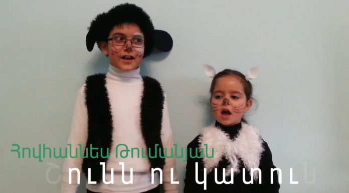 Շունն ու կատուն