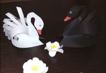 Կարապ թղթից