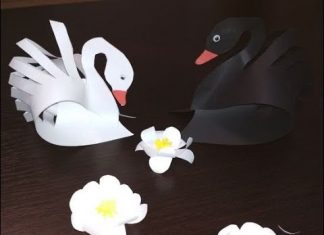 Կարապ թղթից