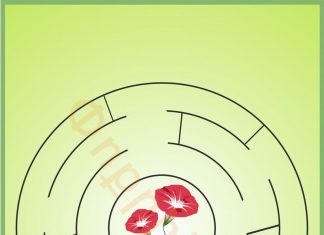 Լաբիրինթոսներ ամենափոքրիկների համար