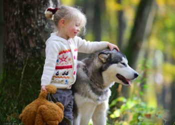 Little girl walking with dog in autumn forest