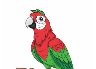 Միացրու կետերը